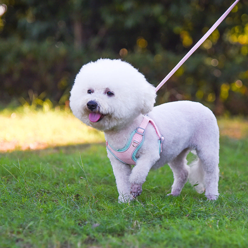 Suede Pastel 2 Tone Adjustable Dog Harness and Leash Set  - Blue/Pink/Green/Yellow