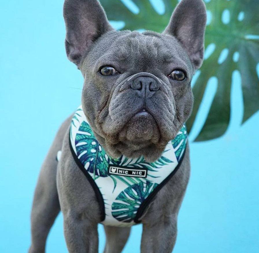 Tropical Leaf Design Harness and Leash Set