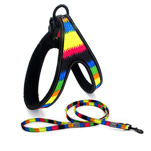 High Fashion Step in Dog Harness and Leash Set - Multiple Colour Options Available