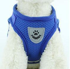 Basics Breathable Reflective Mesh Step-in Dog Harness And Leash Set