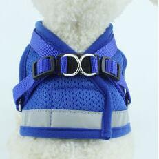 Basics Breathable Reflective Mesh Step-in Dog Harness And Leash Set