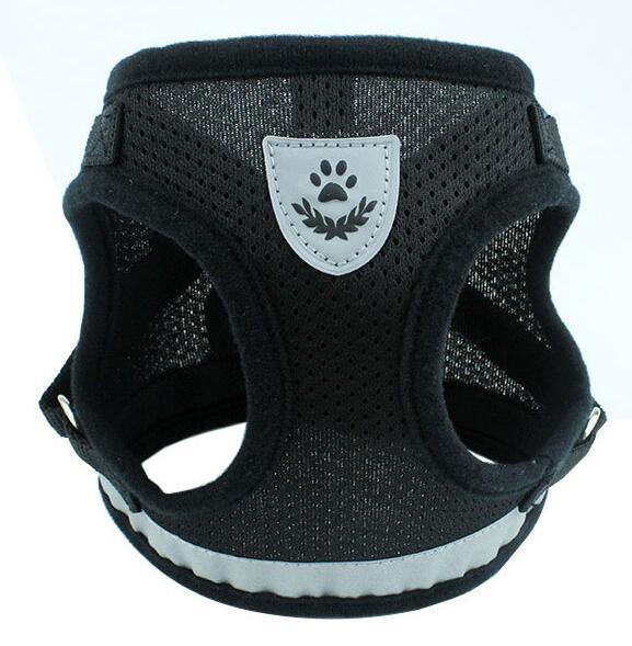 Basics Breathable Reflective Mesh Step-in Dog Harness And Leash Set