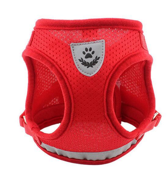 Basics Breathable Reflective Mesh Step-in Dog Harness And Leash Set