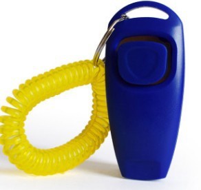 2 in 1 Dog Training Whistle and Clicker - Multiple Colour Options Available