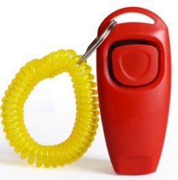 2 in 1 Dog Training Whistle and Clicker - Multiple Colour Options Available