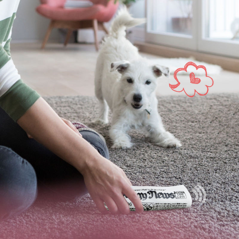 Squeaky Dog Newspaper Chew Toys