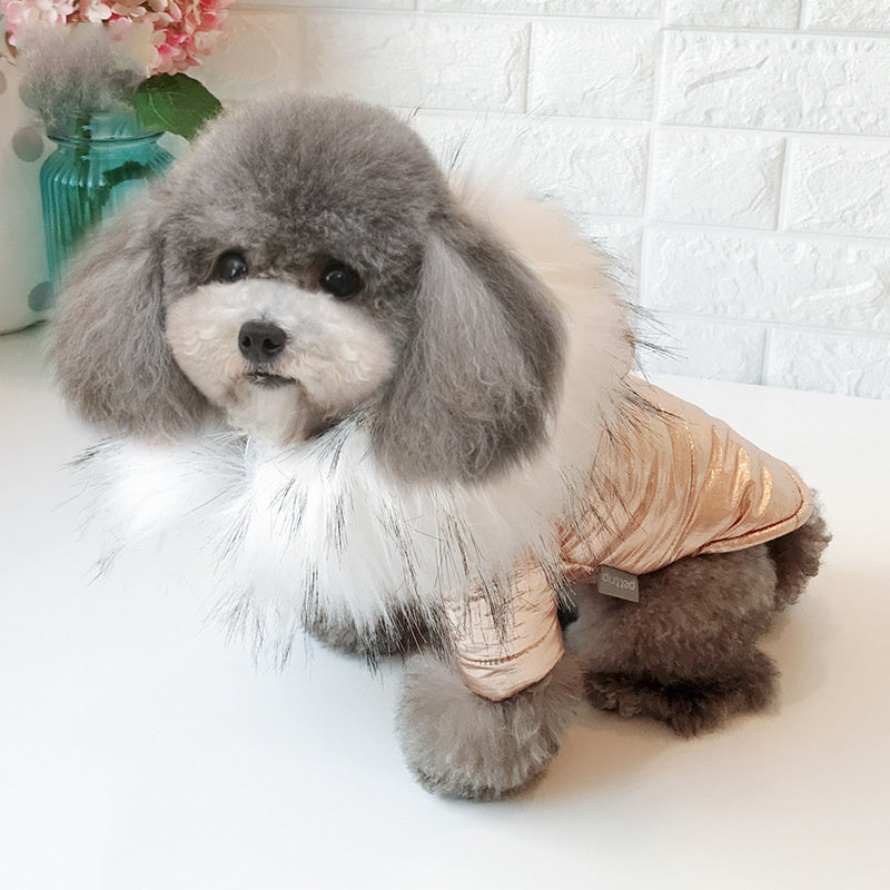 Cotton Hooded Dog Jacket - Silver/Gold
