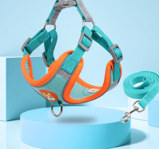 Reflective Harness and Leash Set - Blue/Coffee/Green/Orange/Purple/Red - S-XL