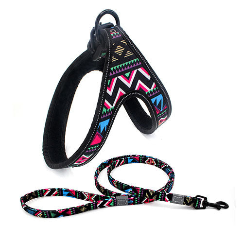 High Fashion Step in Dog Harness and Leash Set - Multiple Colour Options Available
