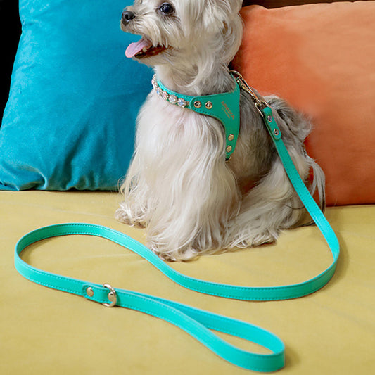 Luxury Rhinestone Detail PU Leather Adjustable Dog Harness & Leash Set