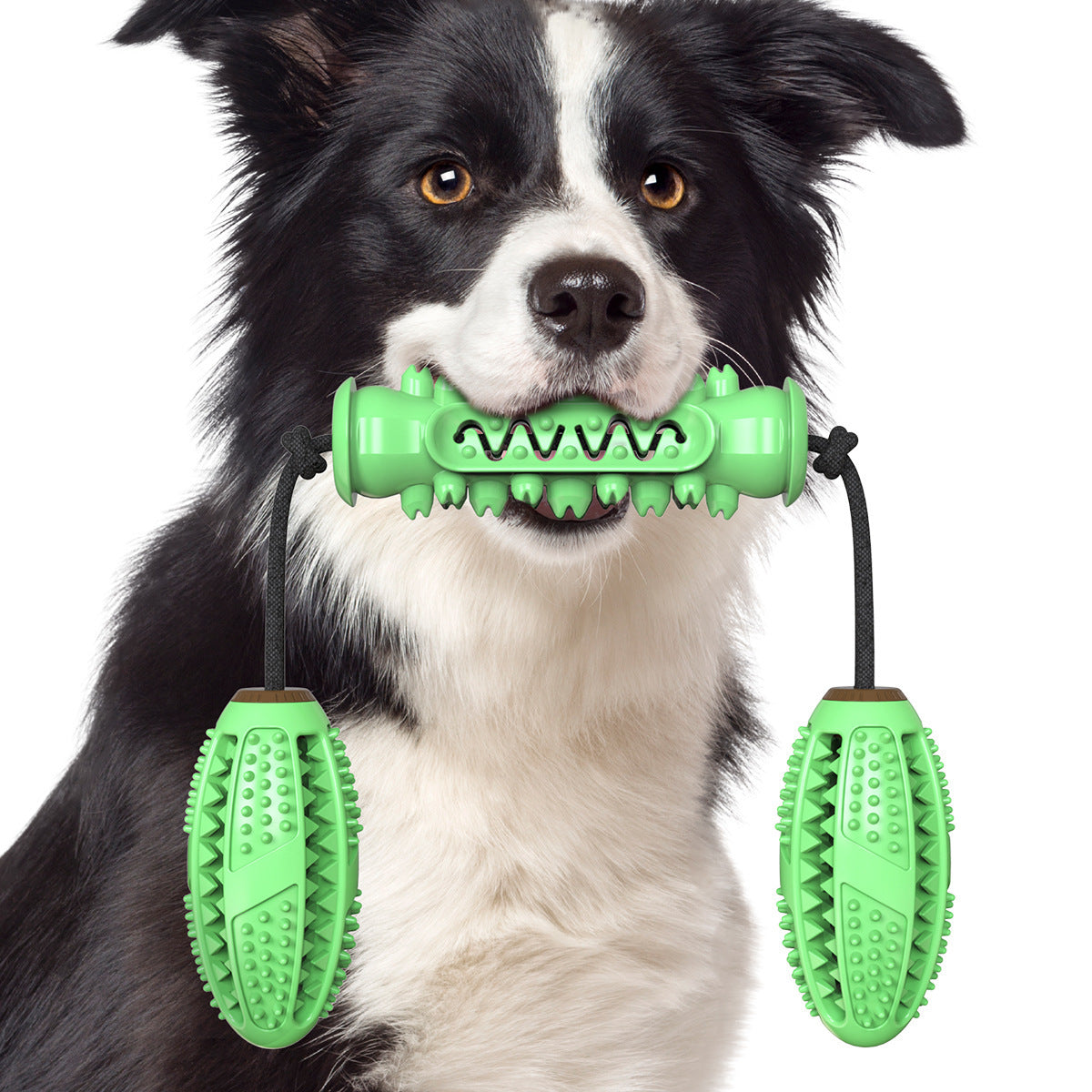 Boredom Breaker Enrichment Puzzle Toy - Blue/Green