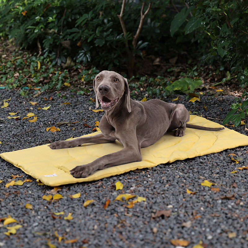 Waterproof, Foldable dog Settle Mat Blanket