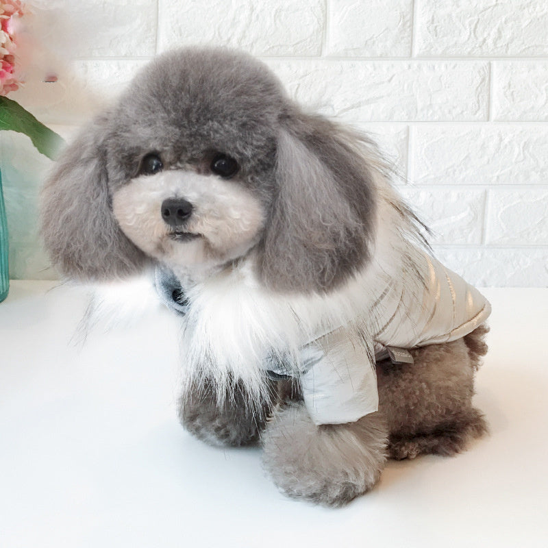 Cotton Hooded Dog Jacket - Silver/Gold