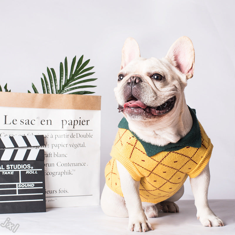 Cotton Pineapple Design Dog Jumper