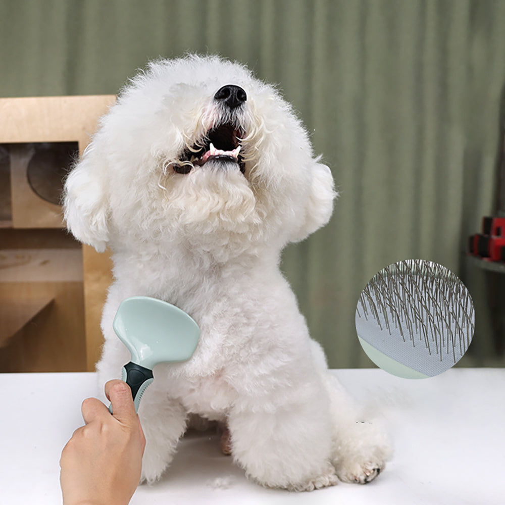 8 Pc Professional At Home Dog Grooming Kit
