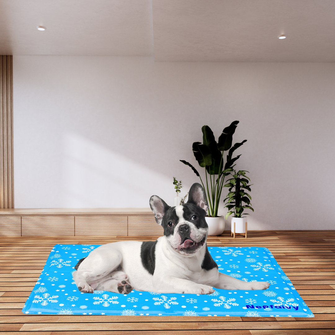 Small Non-toxic Gel Dog Cooling Mat