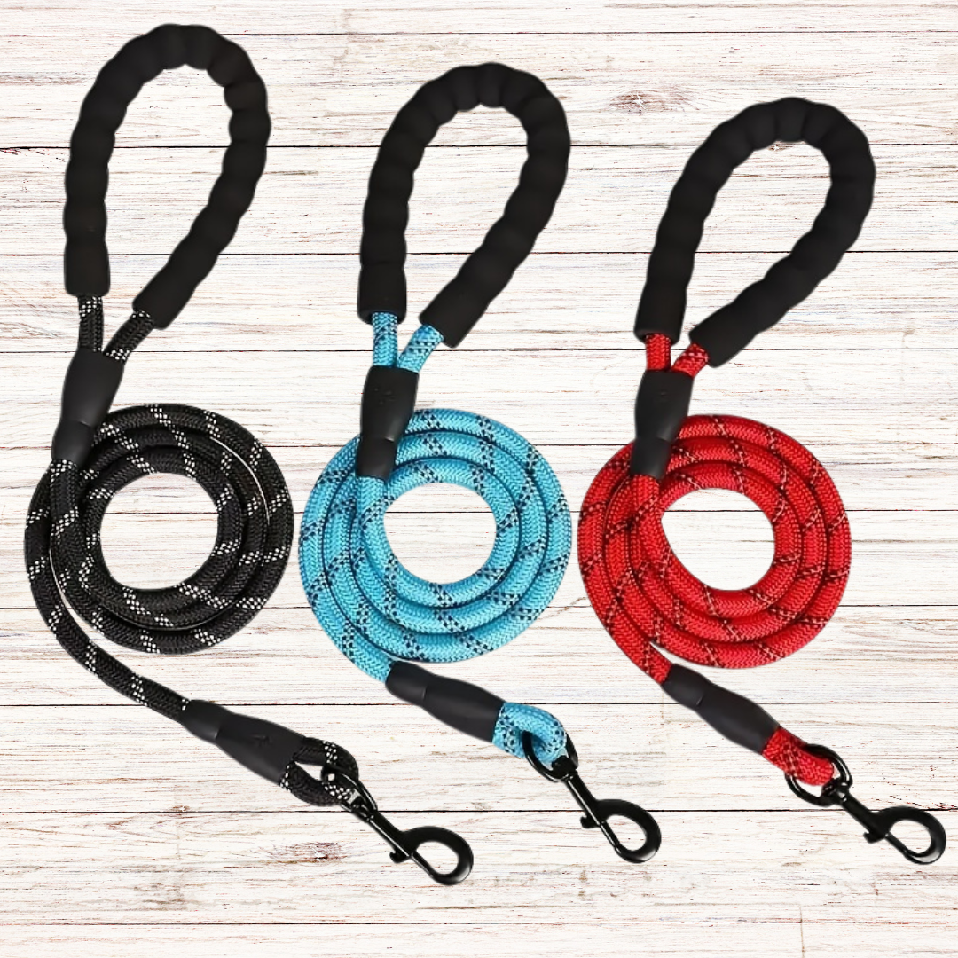Shock Absorbing Lead - Black/Blue/Red
