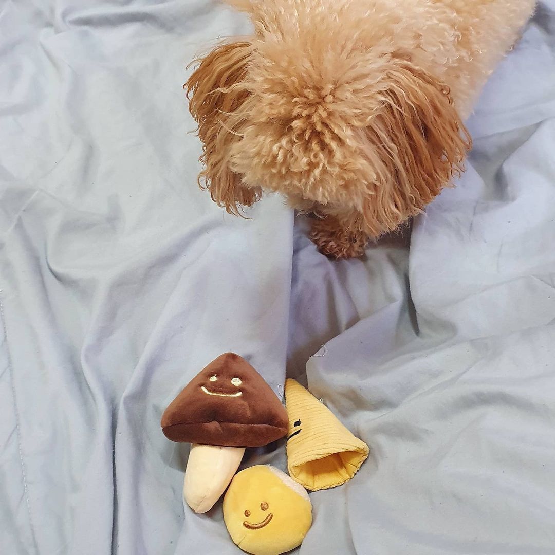 3 Pack Mushroom Dog Toy Set
