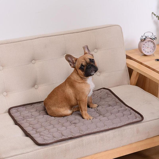 Breathable Mesh Cooling Dog Mat - Blue/Coffee/Grey/Pink