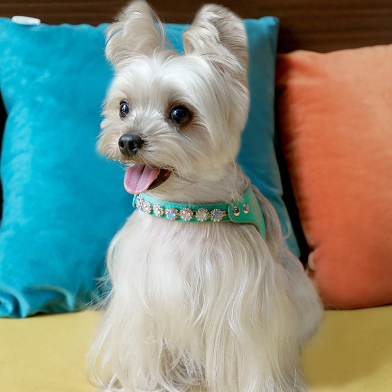 Luxury Rhinestone Detail PU Leather Adjustable Dog Harness & Leash Set